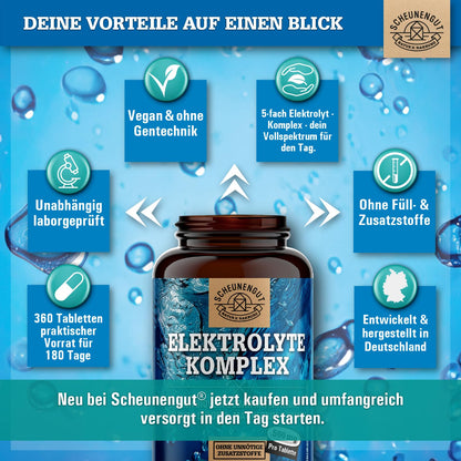 Elektrolyte 1000mg je Dosis -WICHTIG: Elektrolyte ohne Zucker - Kalium, Magnesium, Calcium, Chlorid und Natrium -Hochdosis Komplex- 360Stk Electrolytes -Vegan- DE SCHEUNENGUT®