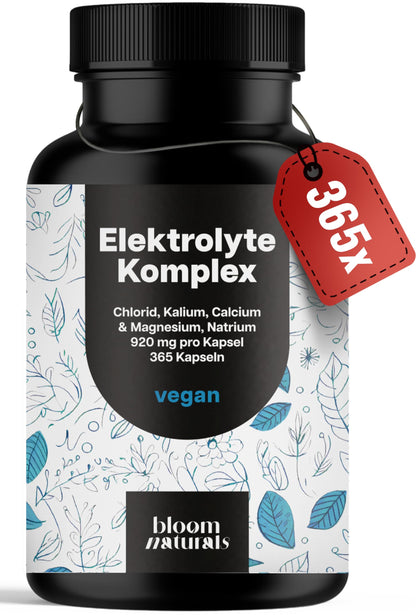 Elektrolyte Komplex - 365 Kapseln - mit Chlorid, Kalium, Calcium, Magnesium & Natrium - 920mg pro Kapsel - vegan, produziert in Deutschland, Jahresvorrat