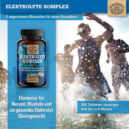 Elektrolyte 1000mg je Dosis -WICHTIG: Elektrolyte ohne Zucker - Kalium, Magnesium, Calcium, Chlorid und Natrium -Hochdosis Komplex- 360Stk Electrolytes -Vegan- DE SCHEUNENGUT®