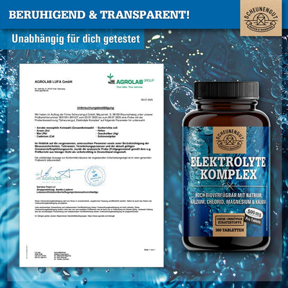Elektrolyte 1000mg je Dosis -WICHTIG: Elektrolyte ohne Zucker - Kalium, Magnesium, Calcium, Chlorid und Natrium -Hochdosis Komplex- 360Stk Electrolytes -Vegan- DE SCHEUNENGUT®