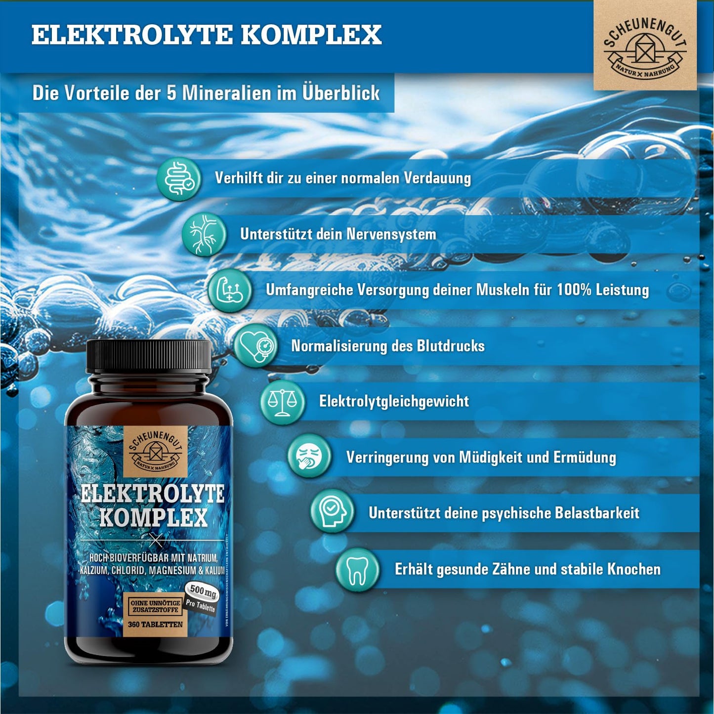 Elektrolyte 1000mg je Dosis -WICHTIG: Elektrolyte ohne Zucker - Kalium, Magnesium, Calcium, Chlorid und Natrium -Hochdosis Komplex- 360Stk Electrolytes -Vegan- DE SCHEUNENGUT®