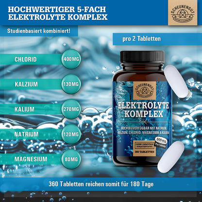Elektrolyte 1000mg je Dosis -WICHTIG: Elektrolyte ohne Zucker - Kalium, Magnesium, Calcium, Chlorid und Natrium -Hochdosis Komplex- 360Stk Electrolytes -Vegan- DE SCHEUNENGUT®